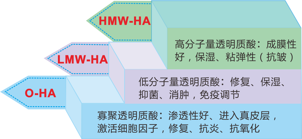 1535356018124512.png 未命名 -2.png