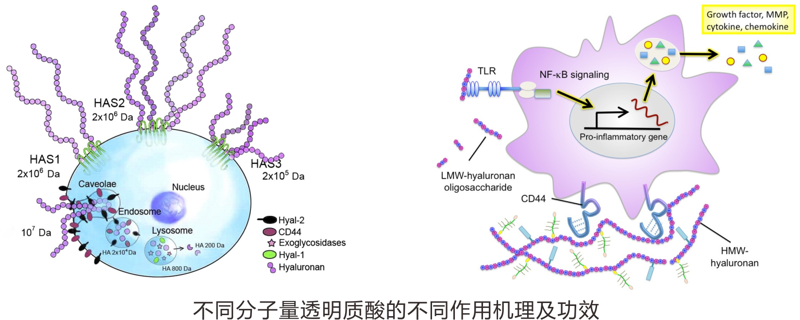 1535356034993431.png 未命名 -1.png